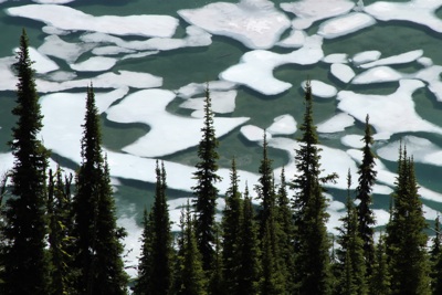 Summer Ice on Alpine Lake, Jeremy Roberts, Conservation Media