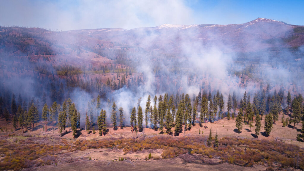 Conservation Media, Prescribed Fire, The Nature Conservancy
