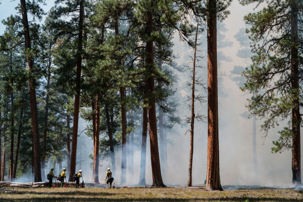 Conservation Media, Prescribed Fire, The Nature Conservancy