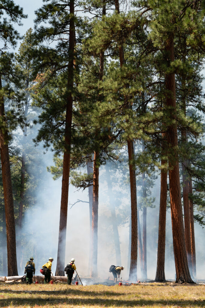 Conservation Media, Prescribed Fire, The Nature Conservancy